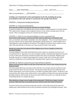 Laboratory 4: Feeding mechanisms, feeding