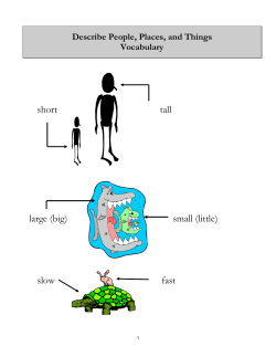 Describe People, Places, and Things Vocabulary