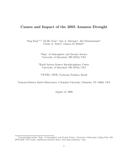 Causes and Impact of the 2005 Amazon Drought