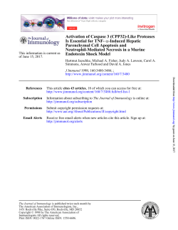 Activation of Caspase 3 - The Journal of Immunology