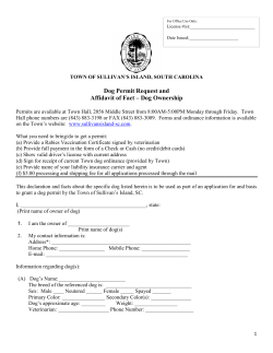 Dog Permit Application Packet