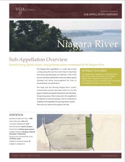 Niagara River
