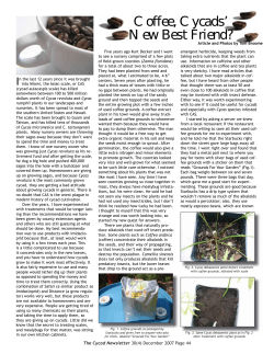 "Coffee, cycads` new best friend?" by Tom Broome