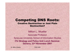 Competing DNS Roots
