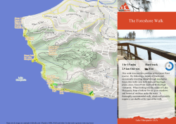The Foreshore Walk