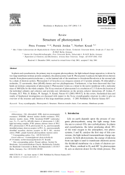 Structure of photosystem I