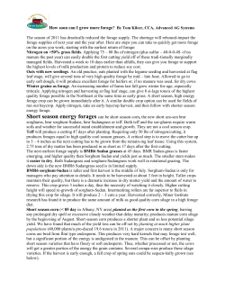 How Soon Can I Grow More Forage?