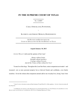 opinion - US Case Law