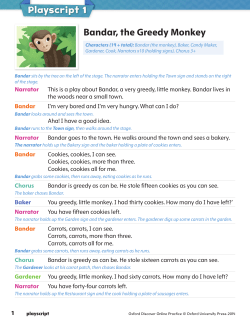 Bandar, the Greedy Monkey