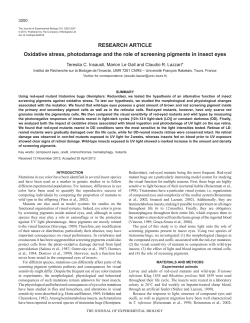 Oxidative stress, photodamage and the role of screening pigments