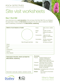 Pack 2 Site visit worksheets