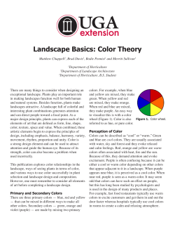 Landscape Basics: Color Theory - UGA Extension