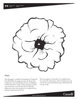 First World War, the poppy was the only flower that could grow in the