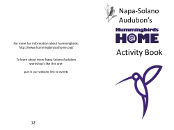 Activity Book - Audubon California