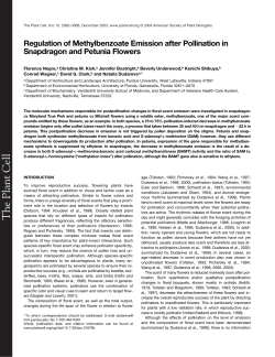 The Plant Cell - Department of Plant Biology