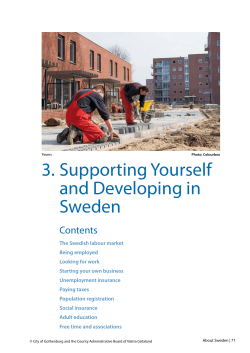 3. Supporting Yourself and Developing in Sweden