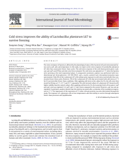 Cold stress improves the ability of Lactobacillus plantarum L67 to