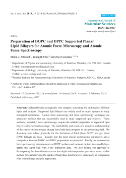 Preparation of DOPC and DPPC Supported Planar Lipid Bilayers for
