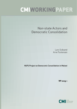 Non-state actors and democratic consolidation