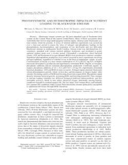 photosynthetic and heterotrophic impacts of nutrient loading to