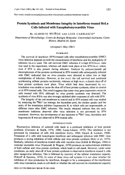 Protein Synthesis and Membrane Integrity in Interferon