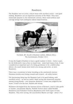 Roadsters - The Waler