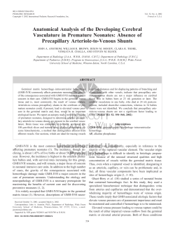 Anatomical Analysis of the Developing Cerebral