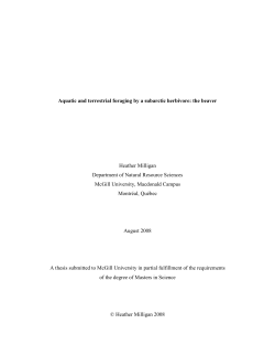 Aquatic and terrestrial foraging by a subarctic herbivore: the beaver