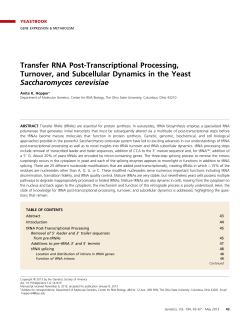Transfer RNA Post-Transcriptional Processing, Turnover