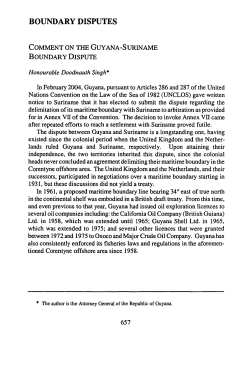 Comment on the Guyana-Suriname Boundary Dispute