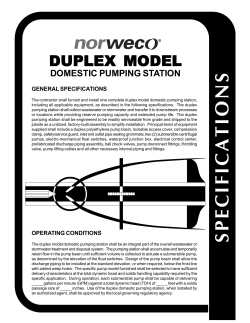 Duplex Pump Specs
