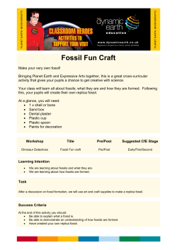Fossil Fun Craft