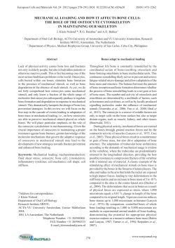 mechanical loading and how it affects bone cells