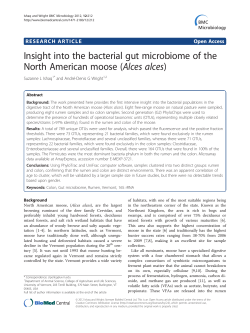 Insight into the bacterial gut microbiome of the North American