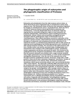 The phagotrophic origin of eukaryotes and phylogenetic