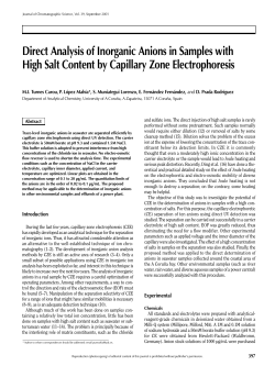 Direct Analysis of Inorganic Anions in Samples with High Salt