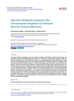 Effective Method to Resolve the Chromosome Numbers in Pistacia