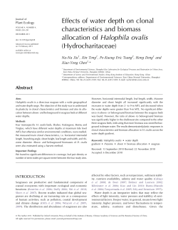 Effects of water depth on clonal characteristics and biomass
