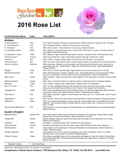 Rose List - North Haven Gardens