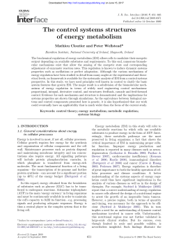 The control systems structures of energy metabolism