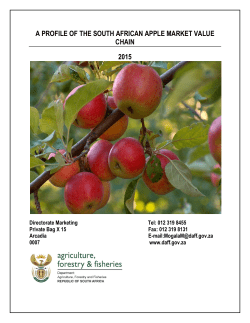 Apple market value chain profile 2015