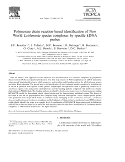 Polymerase chain reaction-based identification of New World