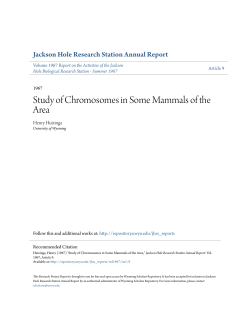 Study of Chromosomes in Some Mammals of the Area