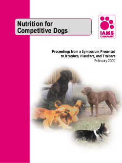Nutrition for Competitive Dogs