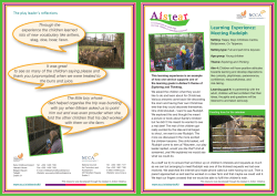 Learning Experience: Meeting Rudolph