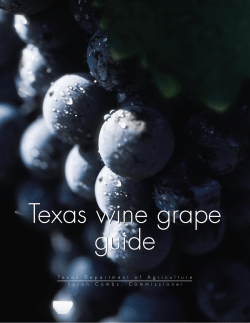 Texas wine grape guide