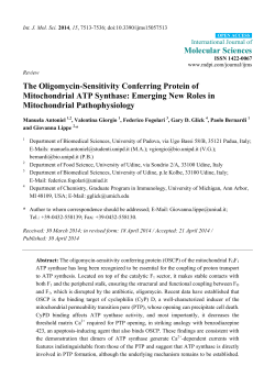 The Oligomycin-Sensitivity Conferring Protein of Mitochondrial ATP