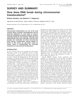 How does DNA break during chromosomal translocations? | Nucleic
