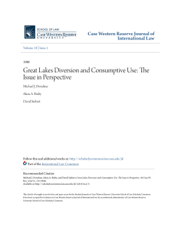 Great Lakes Diversion and Consumptive Use: The Issue in