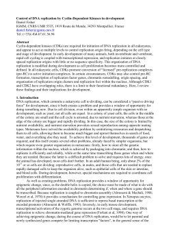 Control of DNA replication by Cyclin-Dependent Kinases in